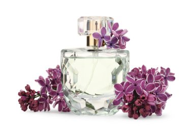 Bir şişe lüks parfüm ve beyaza ayrılmış leylak çiçekleri.