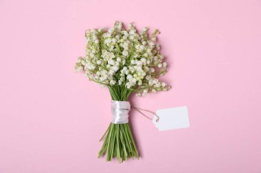 Açık pembe arka planda, vadideki güzel zambak çiçekleri.