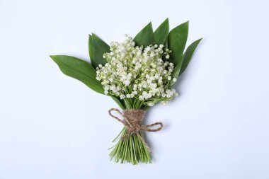 Beyaz arka planda, vadideki güzel zambak çiçekleri.