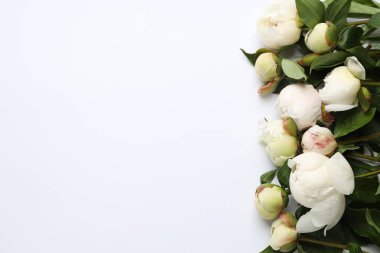 Beyaz arka planda güzel şakayık çiçekleri olan tebrik kartı, düz yatıyordu. Metin için boşluk