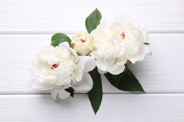 Güzel şakayıklar ve yeşil yapraklar beyaz ahşap masada, düz yatıyordu.