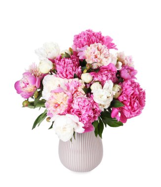 Vazodaki bir buket güzel şakayık beyaza izole edilmiş.