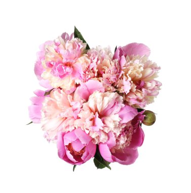 Beyaz bir buket güzel şakayık.