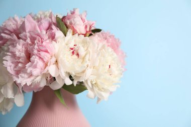 Açık mavi arka planda vazodaki güzel şakayıklar, yakın plan. Metin için boşluk