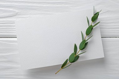 Boş davetiye kartı ve beyaz ahşap masa, üst manzara. Tasarım için boşluk