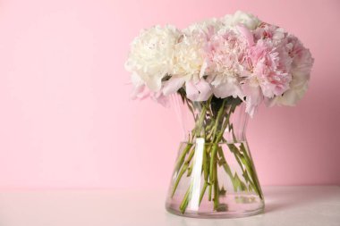 Beyaz masadaki vazodaki güzel şakayıklar pembe arka planda. Metin için boşluk
