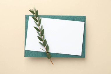 Boş davetiye kartı, zarf ve bej arka planda yeşil dal, üst görünüm