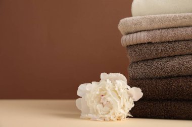 Bir yığın havlu ve şakayık çiçeği bej masanın üzerinde, kahverengi arka planda, yakın plan. Metin için boşluk