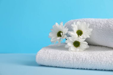 Yumuşak havlular ve açık mavi arka planda kasımpatı çiçekleri, yakın plan. Metin için boşluk
