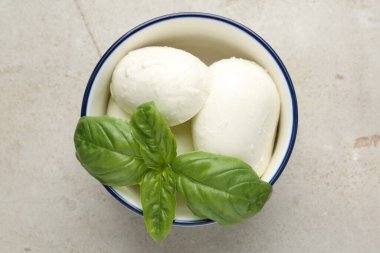 Işık masasında mozzarella peyniri ve fesleğen.