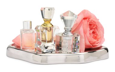 Birçok farklı parfüm şişeleri ve beyaz gül.