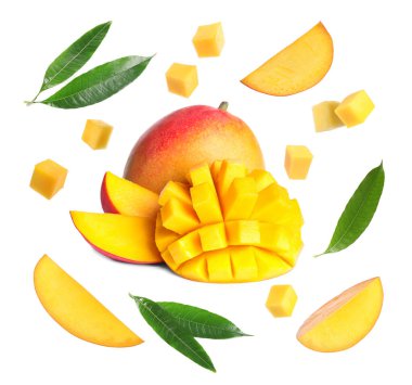 Beyaz arka planda taze mango meyveleri ve yeşil yapraklar, kolaj.