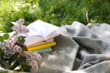 Yığınla kitap, leylak çiçekleri ve yeşil çimlerin üzerinde battaniye.