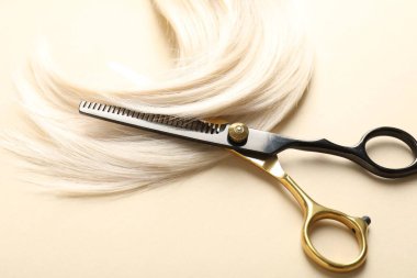 Bej arkaplanda saç kilidi ve makas, üst görünümde