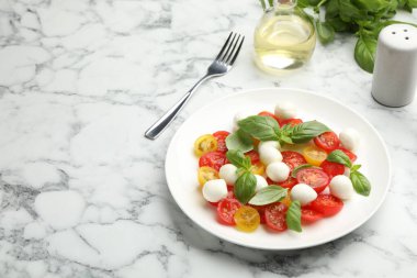 Beyaz mermer masada servis edilen mozarella, domates ve fesleğenli lezzetli salata. Metin için boşluk