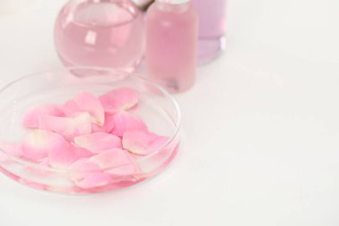 Lüks parfüm yapıyorum. Temel yağlar cam süslemede ve çiçekler beyaz masada, yakın plan. Metin için boşluk