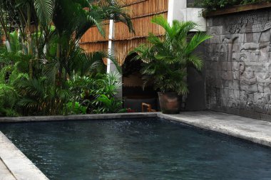 Yüzme havuzu ve lüks otellerde güzel bitkiler