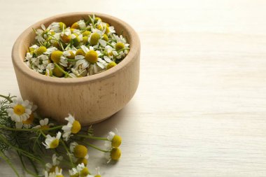 Taze papatya çiçekleri ve açık ahşap masada kase, yakın plan. Metin için boşluk