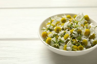 Beyaz ahşap masada, kasede taze papatya çiçekleri, yakın plan. Metin için boşluk