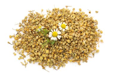 Kuru ve taze papatya çiçekleri yığını. Beyazın üstünde, manzaranın üstünde.