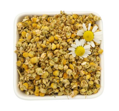 Kuru ve taze papatya çiçekleri kasede, beyaz, üst manzarada izole.