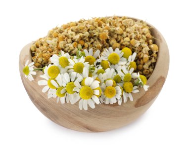 Kuru ve taze papatya çiçekleri beyaz kasede izole edilmiş.