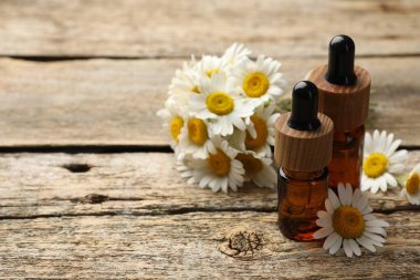 Ahşap masada gerekli yağ şişeleri ve papatya çiçekleri, yakın plan. Metin için boşluk