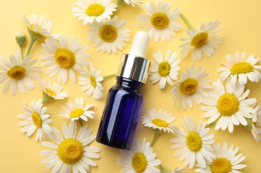 Sarı arka planda bir şişe yağ ve papatya çiçeği.