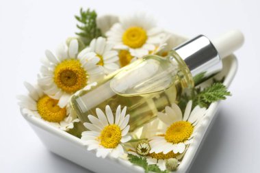 Beyaz arka planda bir şişe gerekli yağ ve papatya çiçeği, yakın plan.