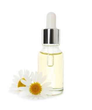 Bir şişe gerekli yağ ve papatya çiçekleri beyaza izole edilmiş.