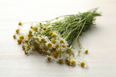 Güzel papatya çiçekleri açık ahşap masada, yakın plan