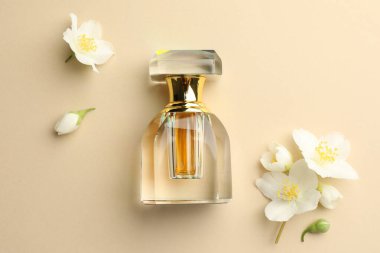 Bir şişe parfüm ve güzel yasemin çiçekleri bej arka planda, düz yerde