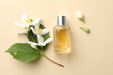 Bir şişe parfüm, güzel yasemin çiçekleri ve bej arka planda yeşil yapraklar.