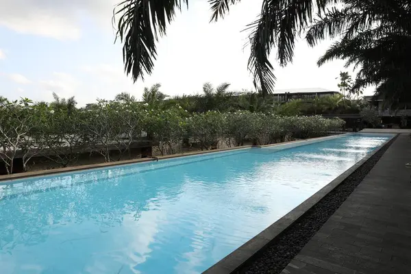 Açık yüzme havuzu ve lüks oteldeki yeşil bitkiler.