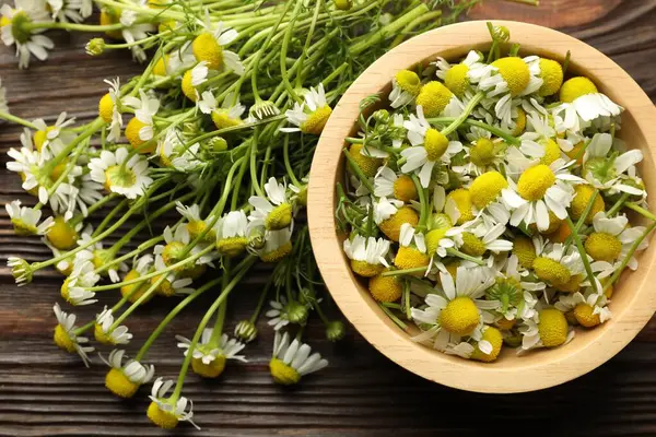 Taze papatya çiçekleri ve kase tahta masada, düz yatıyordu.
