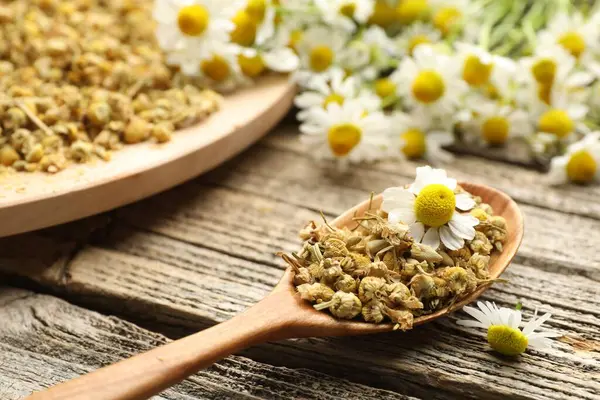 Kuru ve taze papatya çiçekleri kaşık içinde ahşap masada, yakın plan