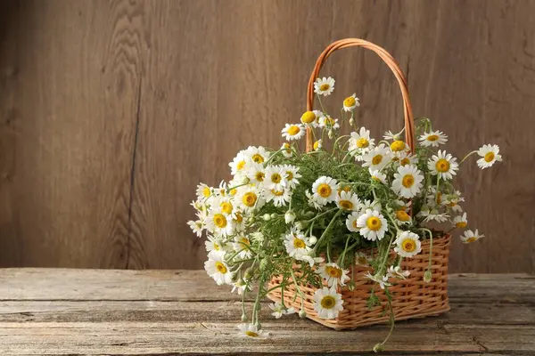 Hasır sepetin içinde güzel papatya çiçekleri ahşap masanın üzerinde, metin için yer var.