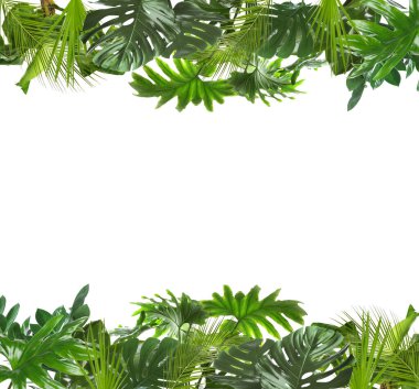 Beyaz arka planda taze yeşil tropikal yapraklardan yapılmış çerçeve
