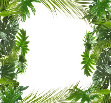 Beyaz arka planda taze yeşil tropikal yapraklardan yapılmış çerçeve