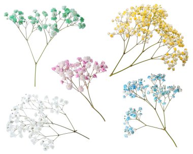 Beyaz arka planda farklı renklerde küçük çiçeklerle Gypthe dalları, kolaj