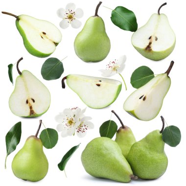 Beyaz arka planda taze armutlar ve yeşil yapraklar, kolaj.