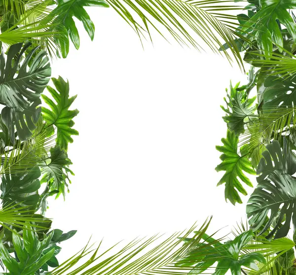 Beyaz arka planda taze yeşil tropikal yapraklardan yapılmış çerçeve