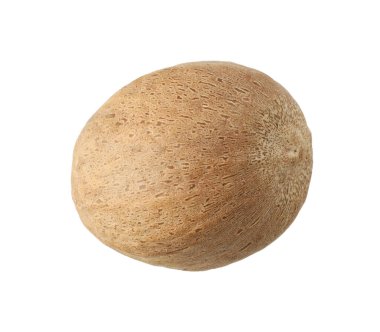 Bir hindistan cevizi havadan izole edilmiş.