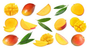 Beyaz arka planda taze mango meyveleri ve yeşil yapraklar, kolaj.