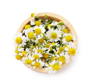 Güzel papatya çiçekleri beyaz kasede izole, üst manzara