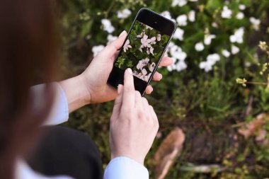 Açık havada akıllı telefondan bitki tanıma uygulaması kullanan bir kadın.