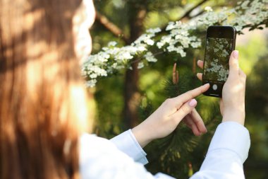 Açık havada akıllı telefondan bitki tanıma uygulaması kullanan bir kadın.