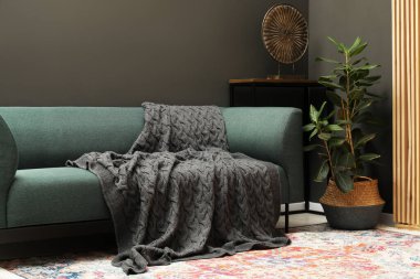 Kanepede gri yün battaniye ve ev bitkisi.