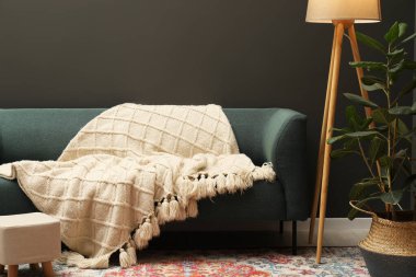 Kanepe, lamba, çiçek ve kanepe üzerinde bej yünlü battaniye.