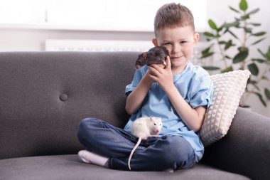 Evdeki kanepesinde fareleri olan küçük bir çocuk. Metin için boşluk